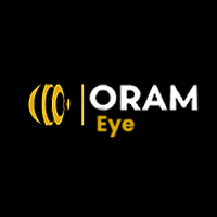 Camera Monitoring Service